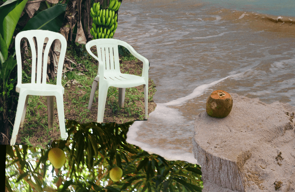 Should I Have Taken More Pictures? A Study of Saudade (and Bad&nbsp;Bunny)